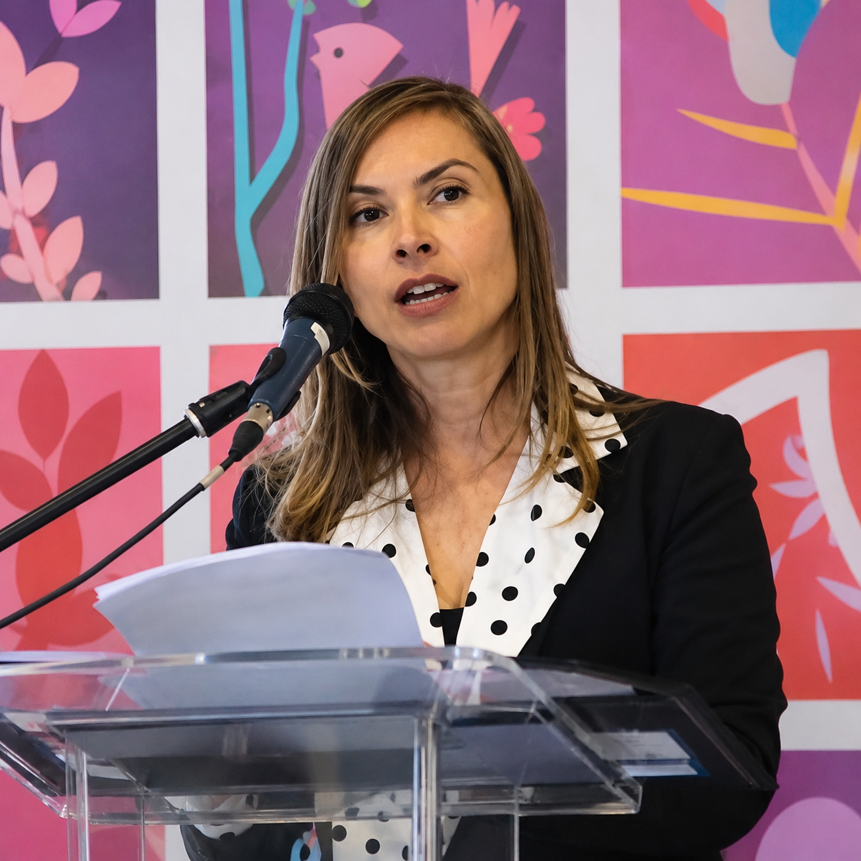 Maria Ximena Santos como conferencista